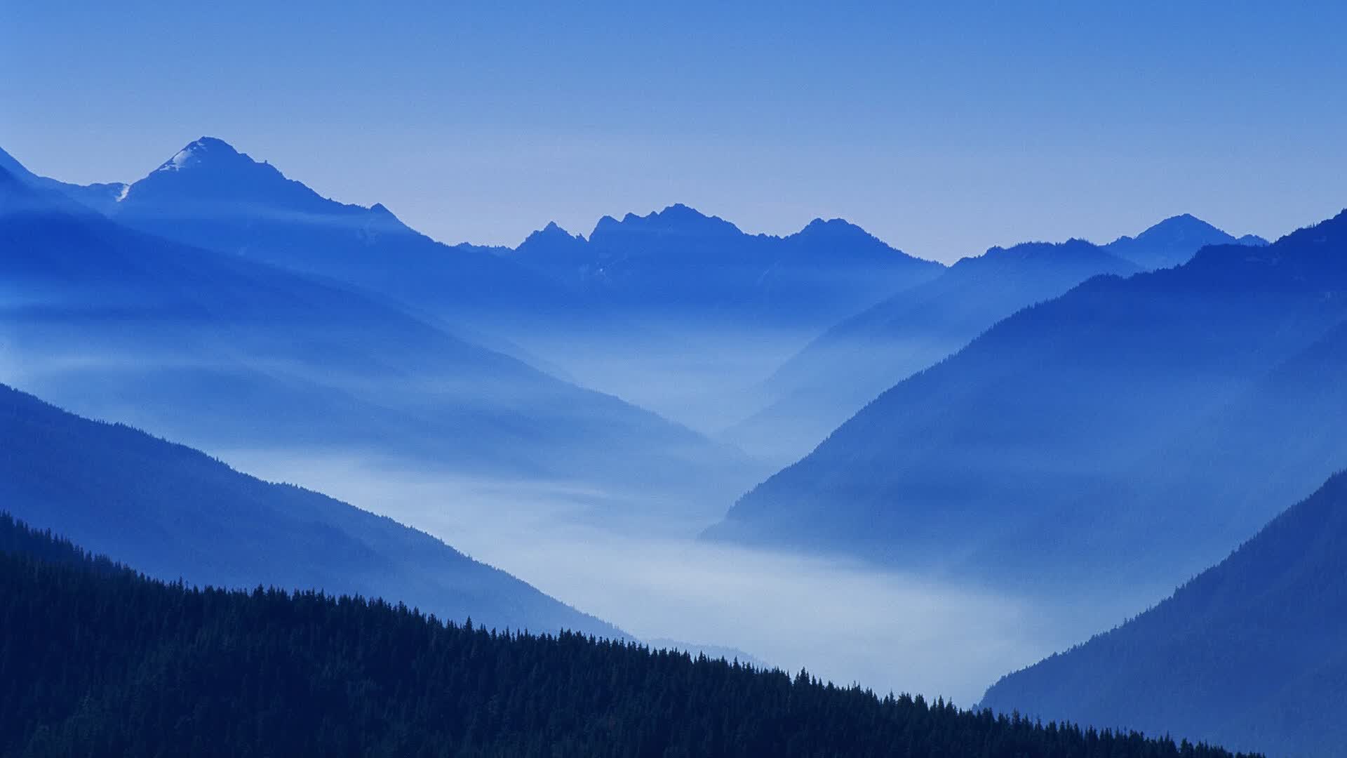 世界体能恢复公益课堂高校合作第七批项目验收通过，世界体能大赛